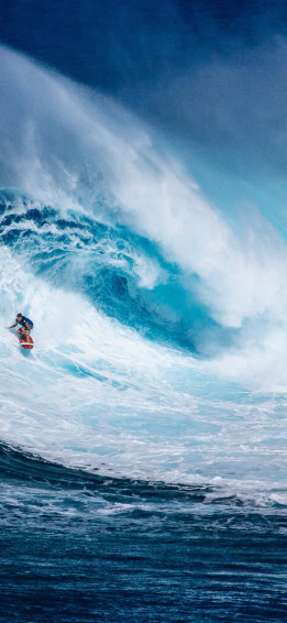 Surfing iPhone Wallpaper