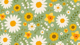 Background Wallpaper