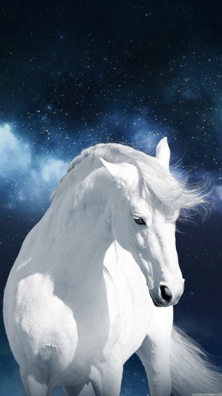 White Horse Wallpaper