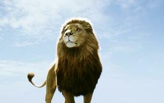 Wallpaper Categories Wide Animals Movies