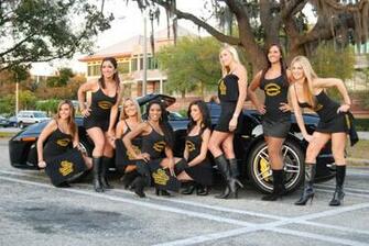 Pittsburgh Steelers Fans