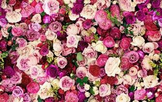 Kate Spade Desktop Wallpaper Floral Art Pinter
