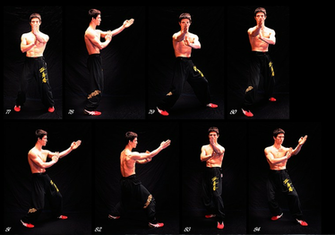 Pin Wing Chun Wallpaper HDin