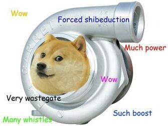 Doge Meme HD Wallpaper