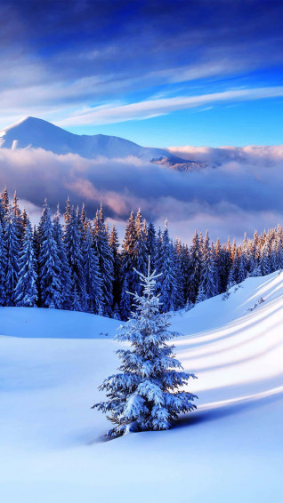 Snow iPhone Wallpaper