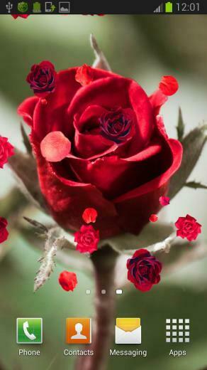 Roses Live Wallpaper Android Apps On Google Play