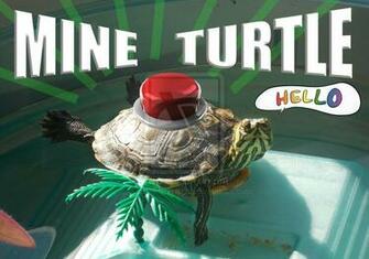 Mine Turtle Wallpaper Anhro