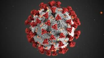 Coronavirus Covid St John Vianney Catholic School