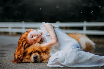 Girl And Dog Sleeping 5k Wallpaper HD Cute 4k