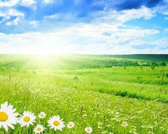 Spring Wallpaper