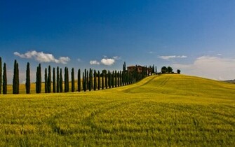 Category Nature HD Wallpaper Subcategory Fields