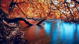 Autumn HD Wallpaper