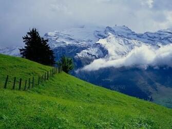 Nature Summer Wallpaper Stocks