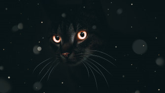 Dark Mode 4k Wallpaper