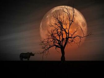 P Background Aljanh Net Rhino