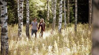Wallpaper Love Boy Girl Forest Birch