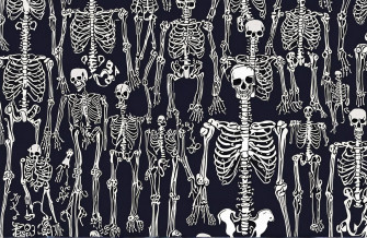 Anatomy Wallpaper