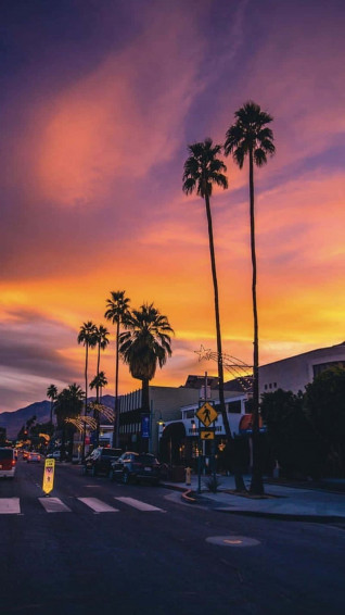 California Summer Wallpaper