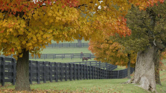 Farm Desktop Wallpaper