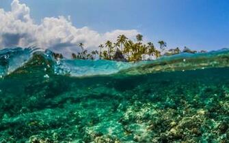 Underwater Reef Off Puuhonua O Honaunauat Big Island Hawaii