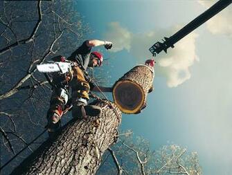 Stihl In Chainsaw Buy Chainsaws Tattoo Design Bild