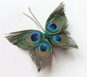 Peacock Feathers Wallpaper