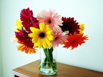 Beautiful Gorgeous Flowers In Vase Wallpaper