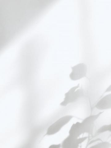 Plant Shadow Pictures Image