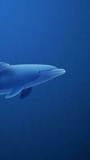 Dolphin Mom And Child Wallpaper iPhone