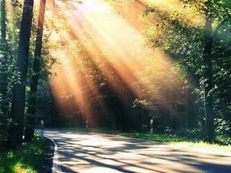Summer Landscape Wallpaper Album Description