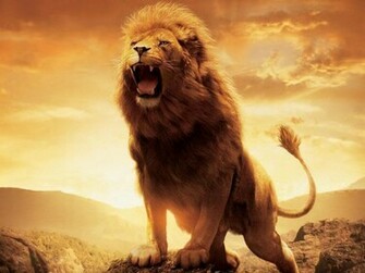 Pin De Narnia Aslan Fondos Y Wallpaper Las Cronicas