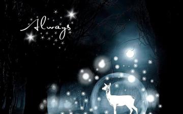 Patronus Harry Potter Desktop Wallpaper On
