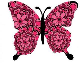 Butterfly On White Background Clipart Photo