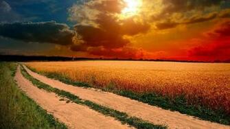 Wallpaper Natural Beauty