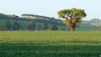 Capability Brown Landscape Designer Behind England S Most Iconic
