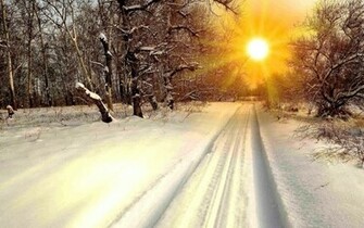 Winter Sun Fondos De Pantalla Fotos Gratis