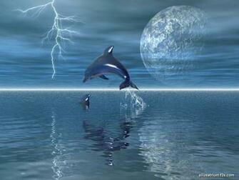 Dolphin 3d Wallpaper3 Wallpaper