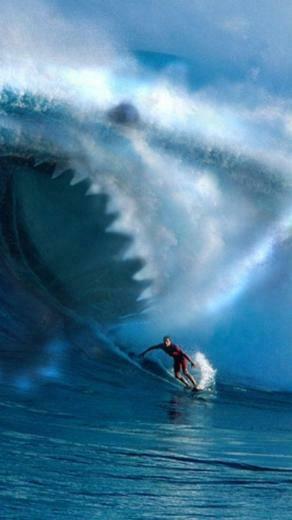Surf Wallpaper iPhone Zone
