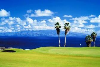 Tenerife Island Palm Trees Wallpaper Travel HD