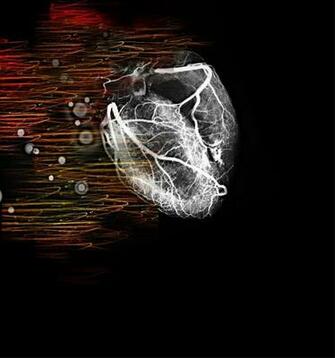 Cardiology Wallpaper On