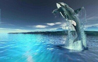 Killer Whale Wallpaper Orca HD