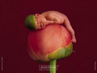 HD Wallpaper Anne Geddes Baby X Kb Jpeg