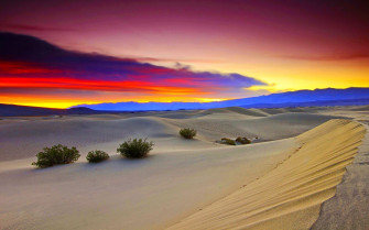 Desert Desktop Wallpaper