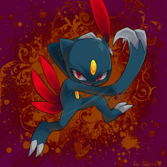 Sneasel Photo