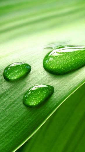 Water Drops HD iPhone Plus Wallpaper