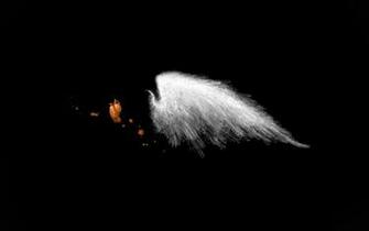 Angel Wing And Heart Wallpaper