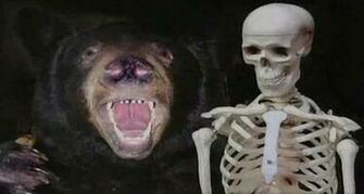 Warning Scariest Picture Ever In Whole World Imid I Mid
