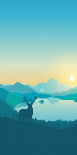 Wallpaper