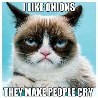 Top Funny Grumpy Cat Pictures And Quotes