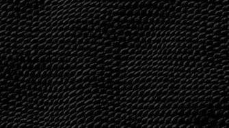Black Snake Skin Wallpaper